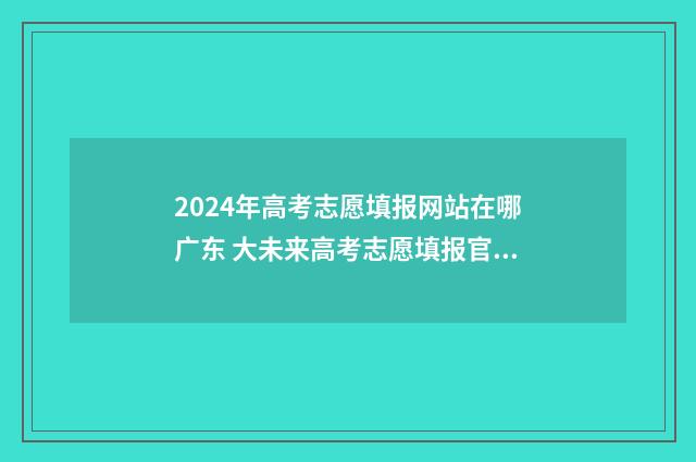 2024年高考志愿填报网站在哪广东 大未来高考志愿填报官网