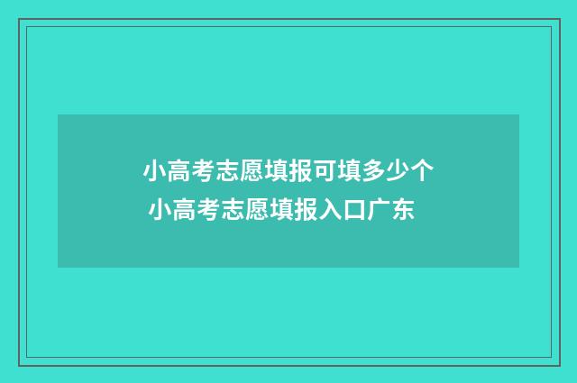 小高考志愿填报可填多少个 小高考志愿填报入口广东
