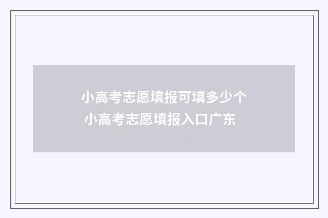 小高考志愿填报可填多少个 小高考志愿填报入口广东