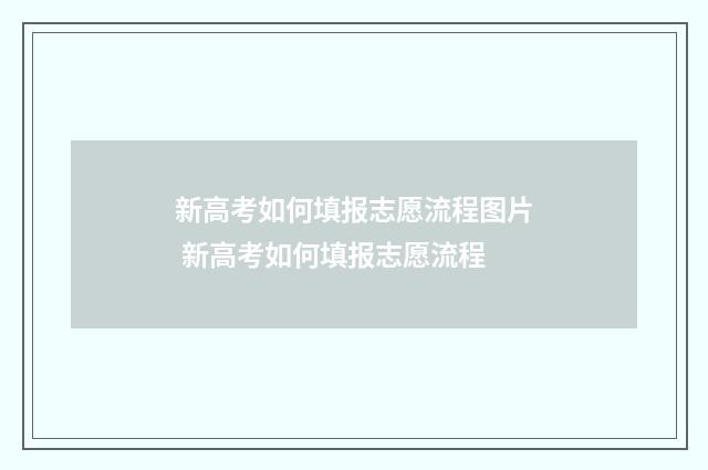 新高考如何填报志愿流程图片 新高考如何填报志愿流程
