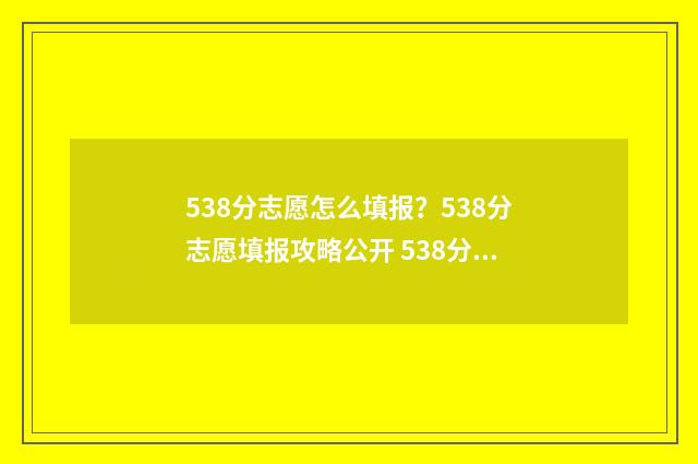 538分志愿怎么填报？538分志愿填报攻略公开 538分能报什么大学