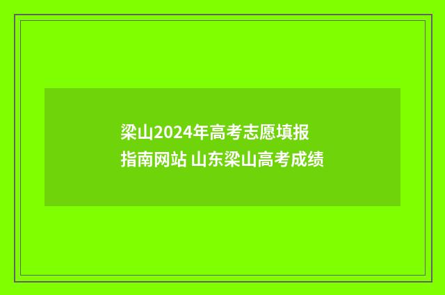 梁山2024年高考志愿填报指南网站 山东梁山高考成绩