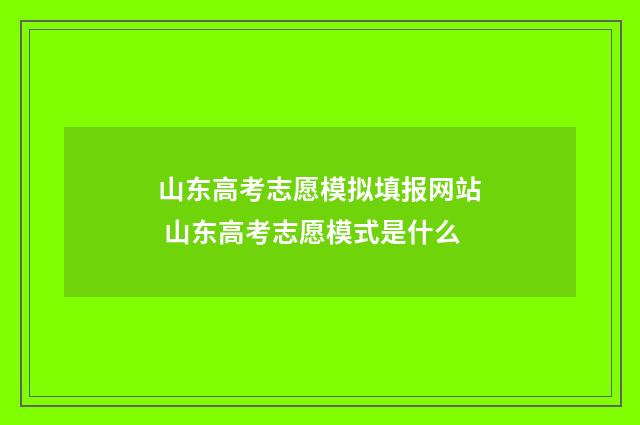 山东高考志愿模拟填报网站 山东高考志愿模式是什么