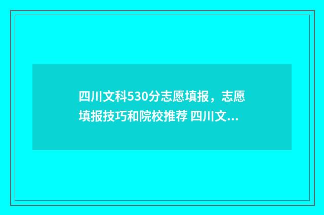 四川文科530分志愿填报，志愿填报技巧和院校推荐 四川文科505分