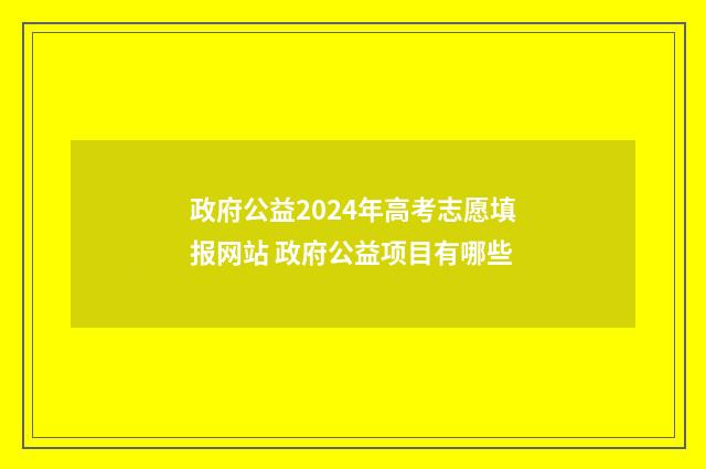政府公益2024年高考志愿填报网站 政府公益项目有哪些