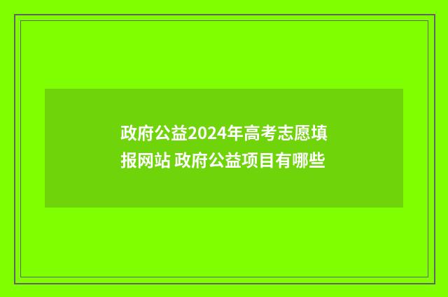 政府公益2024年高考志愿填报网站 政府公益项目有哪些