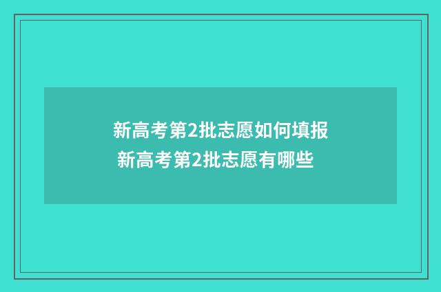 新高考第2批志愿如何填报 新高考第2批志愿有哪些