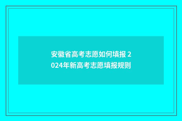 安徽省高考志愿如何填报 2024年新高考志愿填报规则