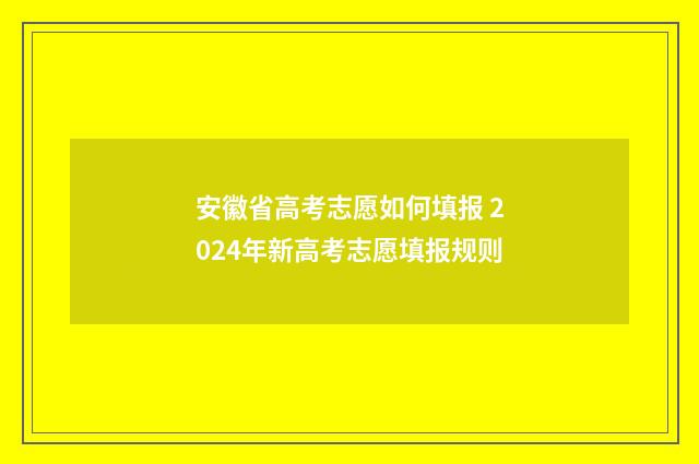 安徽省高考志愿如何填报 2024年新高考志愿填报规则