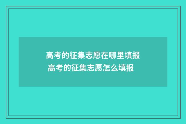 高考的征集志愿在哪里填报 高考的征集志愿怎么填报