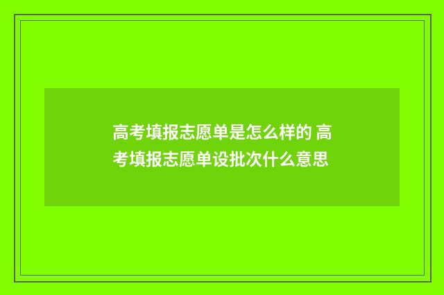 高考填报志愿单是怎么样的 高考填报志愿单设批次什么意思
