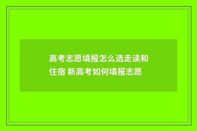 高考志愿填报怎么选走读和住宿 新高考如何填报志愿