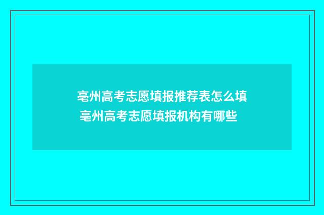 亳州高考志愿填报推荐表怎么填 亳州高考志愿填报机构有哪些