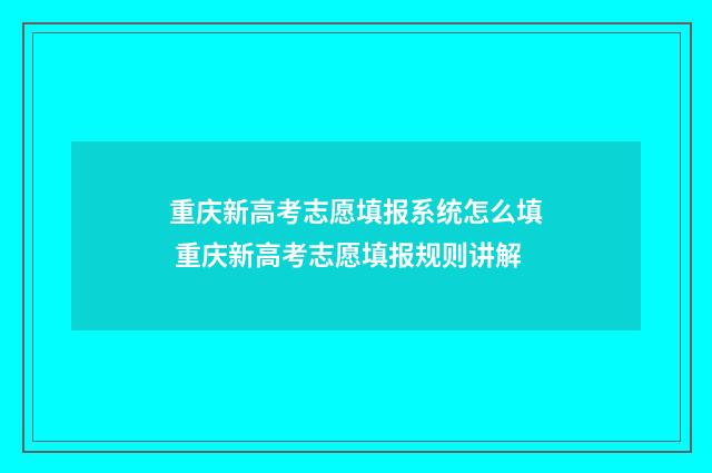 重庆新高考志愿填报系统怎么填 重庆新高考志愿填报规则讲解