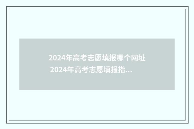 2024年高考志愿填报哪个网址 2024年高考志愿填报指南书