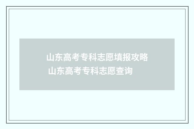山东高考专科志愿填报攻略 山东高考专科志愿查询