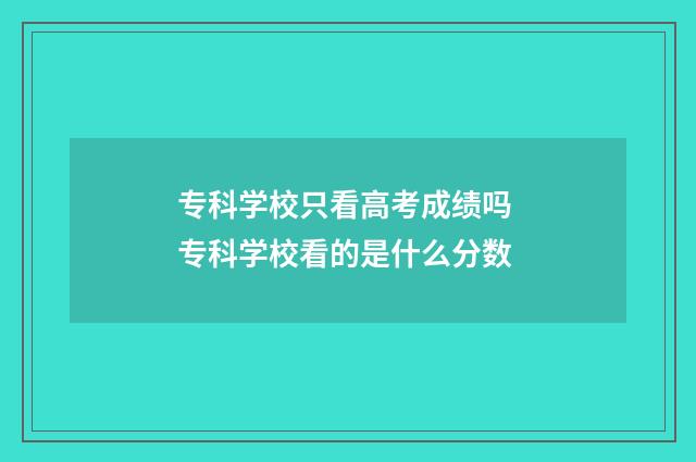 专科学校只看高考成绩吗 专科学校看的是什么分数
