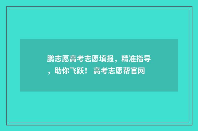 鹏志愿高考志愿填报，精准指导，助你飞跃！ 高考志愿帮官网