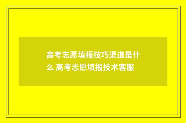 高考志愿填报技巧渠道是什么 高考志愿填报技术客服