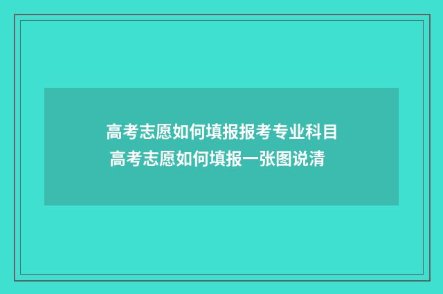 高考志愿如何填报报考专业科目 高考志愿如何填报一张图说清