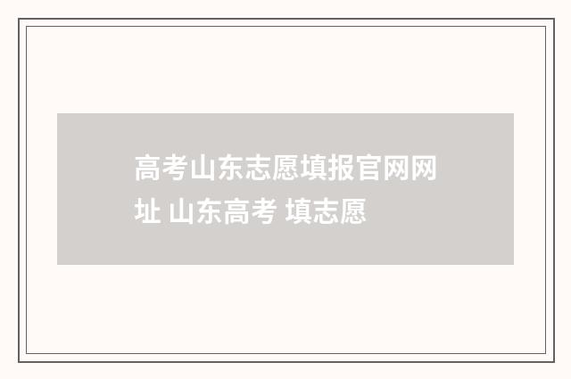 高考山东志愿填报官网网址 山东高考 填志愿