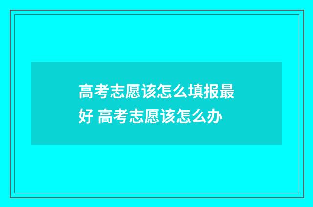 高考志愿该怎么填报最好 高考志愿该怎么办
