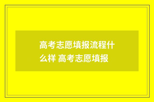 高考志愿填报流程什么样 高考志愿填报