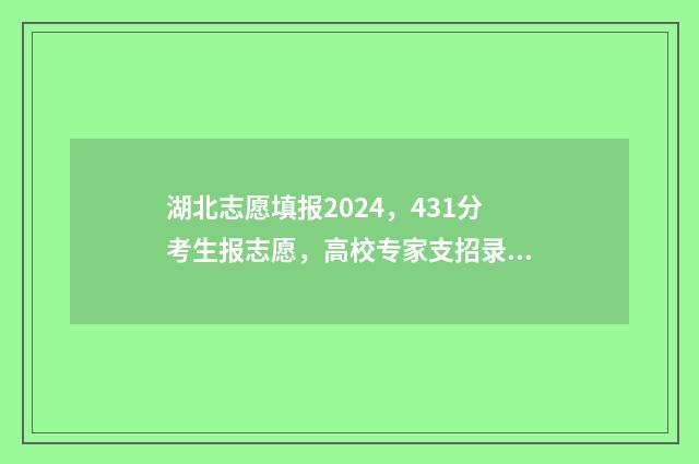 湖北志愿填报2024，431分考生报志愿，高校专家支招录取率高 湖北志愿填报2024体育生