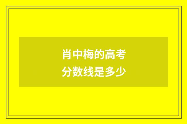 肖中梅的高考分数线是多少
