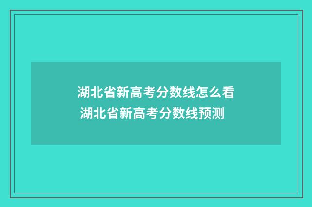 湖北省新高考分数线怎么看 湖北省新高考分数线预测