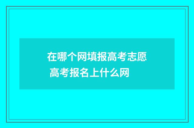 在哪个网填报高考志愿 高考报名上什么网