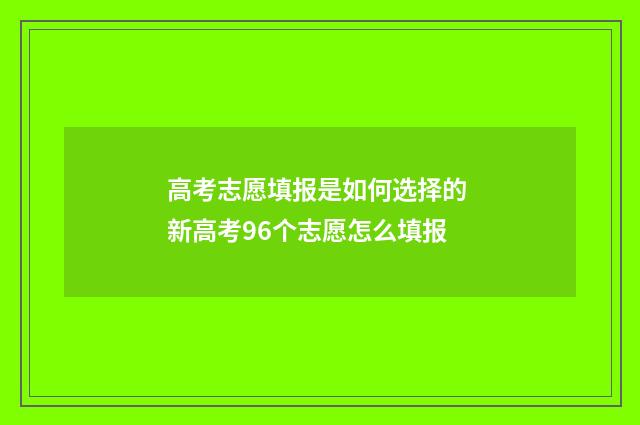 高考志愿填报是如何选择的 新高考96个志愿怎么填报