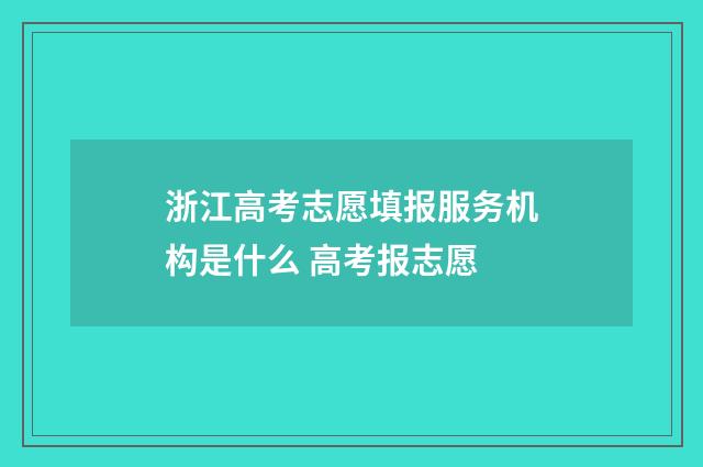 浙江高考志愿填报服务机构是什么 高考报志愿