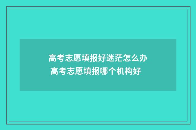 高考志愿填报好迷茫怎么办 高考志愿填报哪个机构好