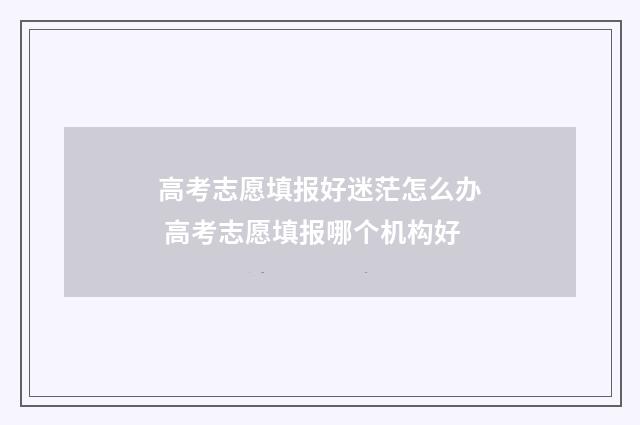 高考志愿填报好迷茫怎么办 高考志愿填报哪个机构好