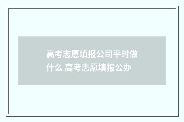 高考志愿填报公司平时做什么 高考志愿填报公办