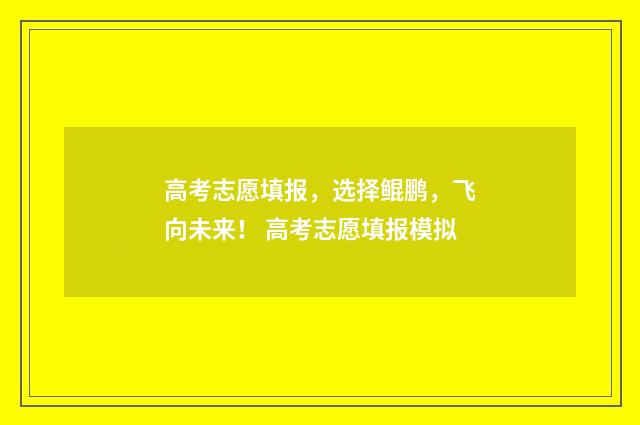 高考志愿填报，选择鲲鹏，飞向未来！ 高考志愿填报模拟