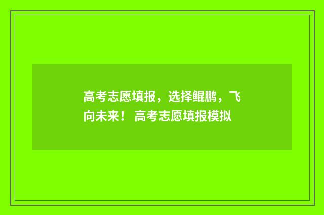 高考志愿填报，选择鲲鹏，飞向未来！ 高考志愿填报模拟