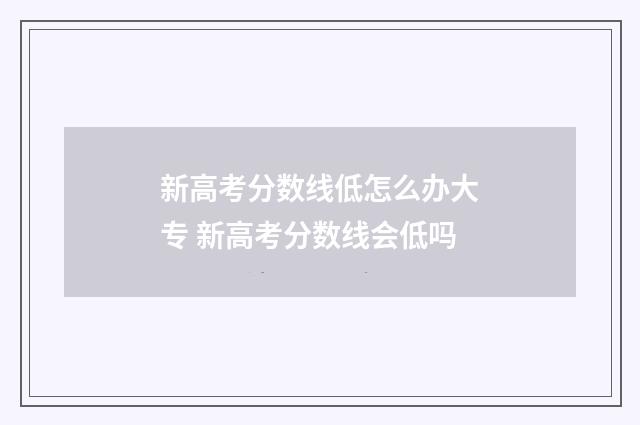 新高考分数线低怎么办大专 新高考分数线会低吗