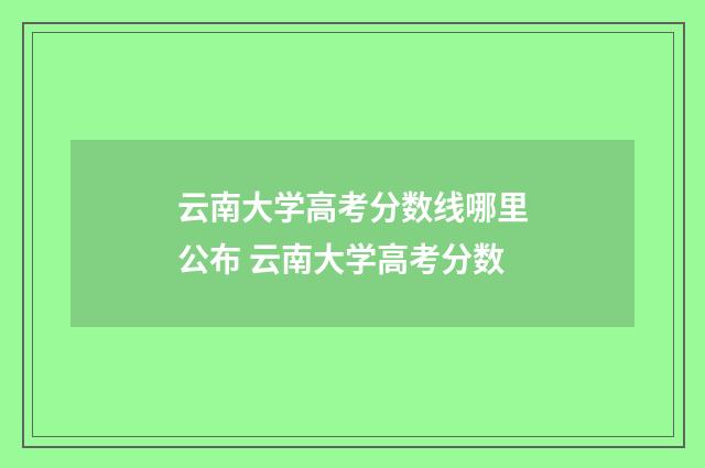 云南大学高考分数线哪里公布 云南大学高考分数