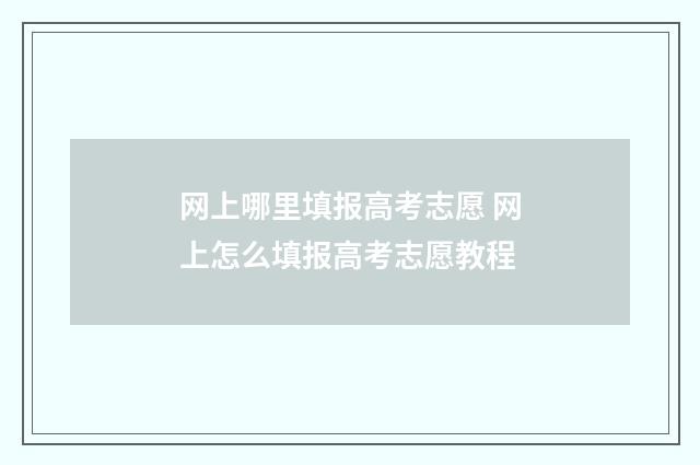 网上哪里填报高考志愿 网上怎么填报高考志愿教程