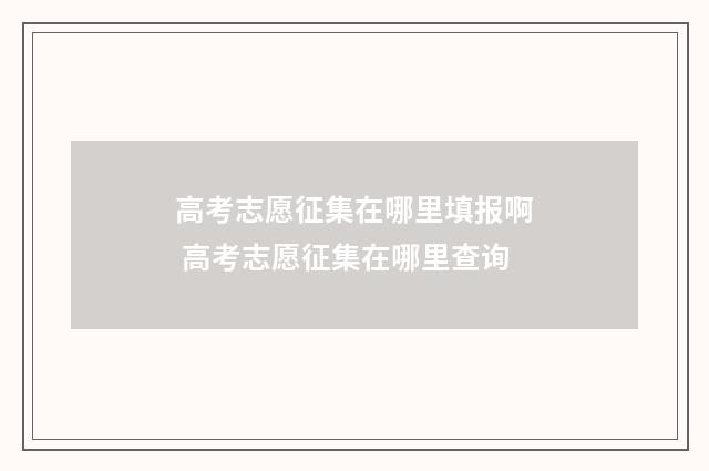 高考志愿征集在哪里填报啊 高考志愿征集在哪里查询