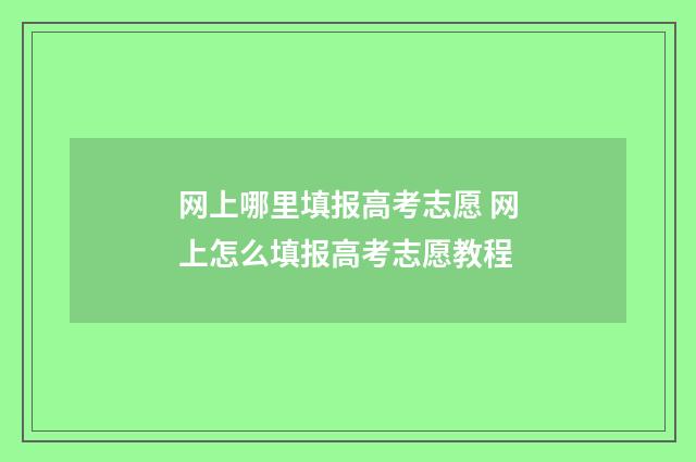 网上哪里填报高考志愿 网上怎么填报高考志愿教程