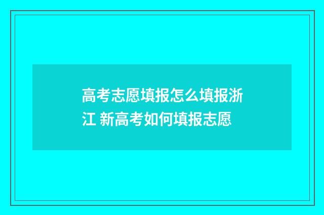 高考志愿填报怎么填报浙江 新高考如何填报志愿