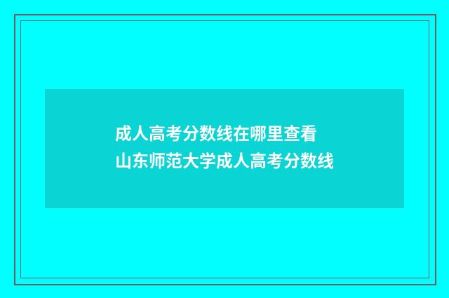 成人高考分数线在哪里查看 山东师范大学成人高考分数线