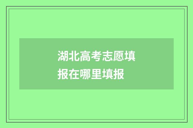 湖北高考志愿填报在哪里填报