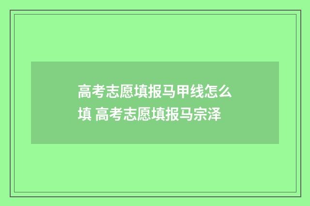 高考志愿填报马甲线怎么填 高考志愿填报马宗泽