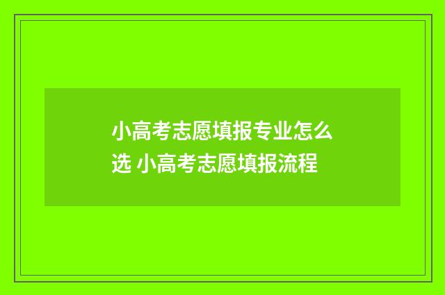 小高考志愿填报专业怎么选 小高考志愿填报流程