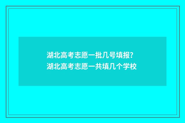 湖北高考志愿一批几号填报？ 湖北高考志愿一共填几个学校
