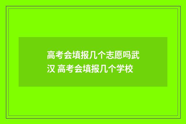 高考会填报几个志愿吗武汉 高考会填报几个学校